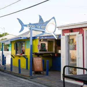 Bars in harbour island bahamas