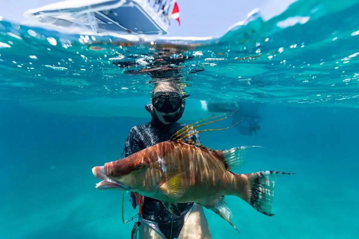 fishing harbour island conch and coconut